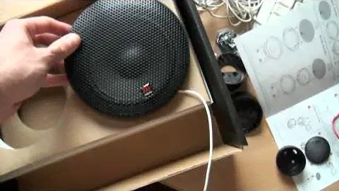 Morel Tempo 6.mp4